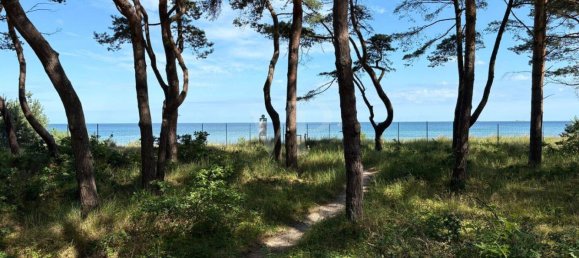 2 bedrooms Apartment in Vorpommern-Rugen, Germany No. 316335 31