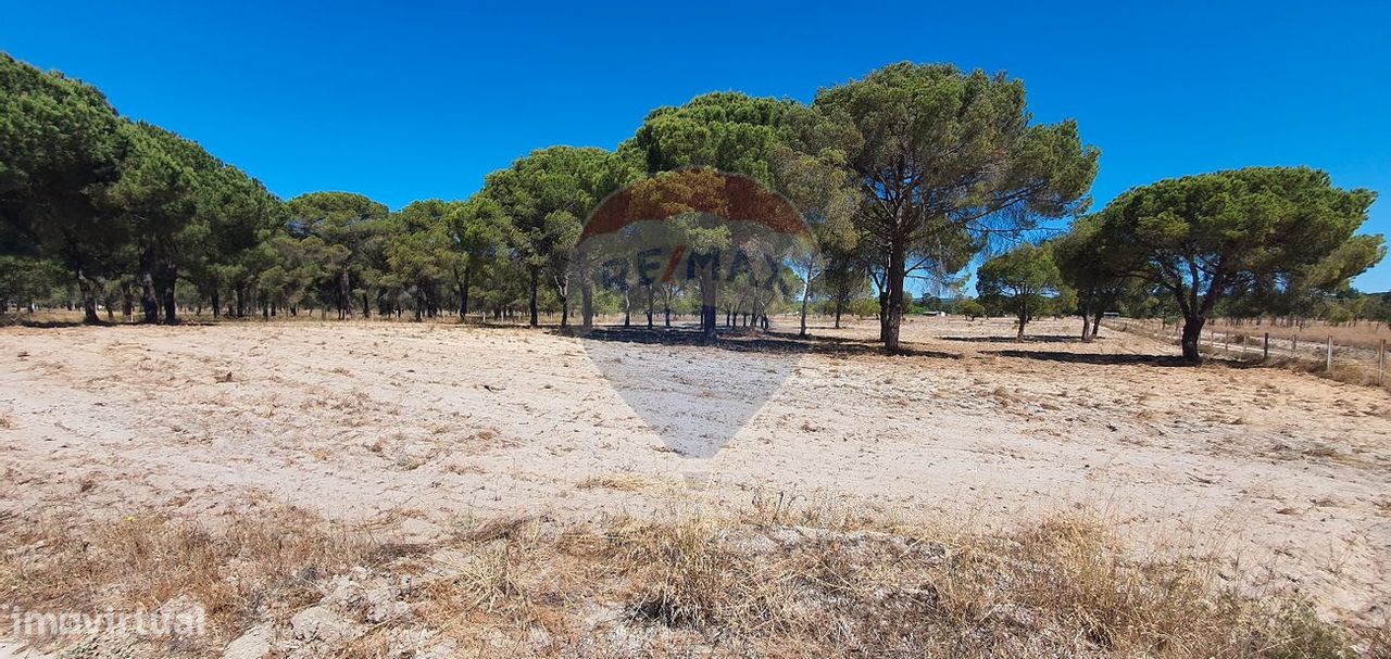 40781m² Land in Alcacer do Sal, Portugal No. 333493