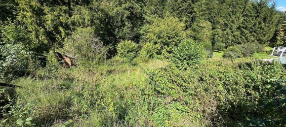  Land in Gosting, Austria No. 161346 6