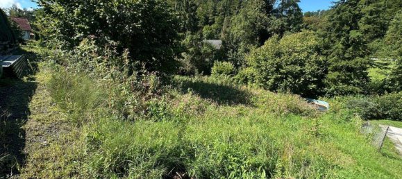  Land in Gosting, Austria No. 161346 4