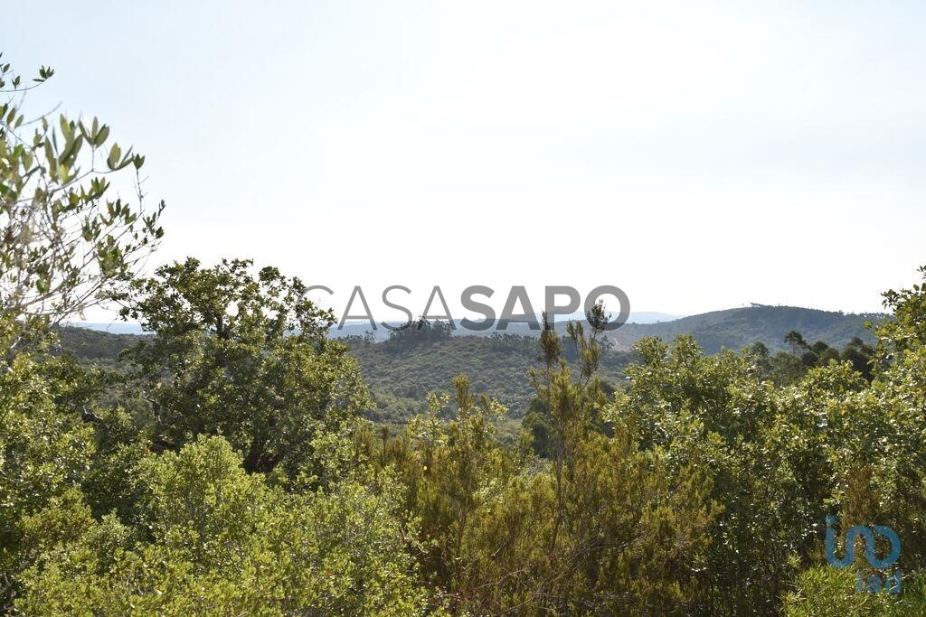 Terreno en Ferreira do Zezere, Portugal 8600 m² No. 213899