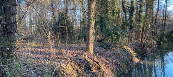 قطعة أرض في Olivet, France 3800متر مربع رقم 70393 2