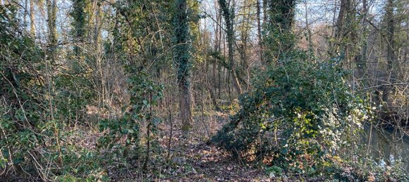 قطعة أرض في Olivet, France 3800متر مربع رقم 70393 5