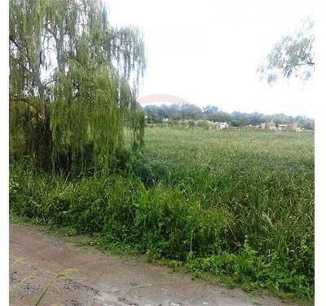 Grundstück in Tigre, Argentina, Nr. 41860