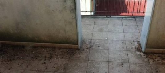 5 rooms House in Scordia, Italy No. 103565 8