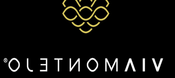 Studio in Yucatan, Mexico No. 149417 2