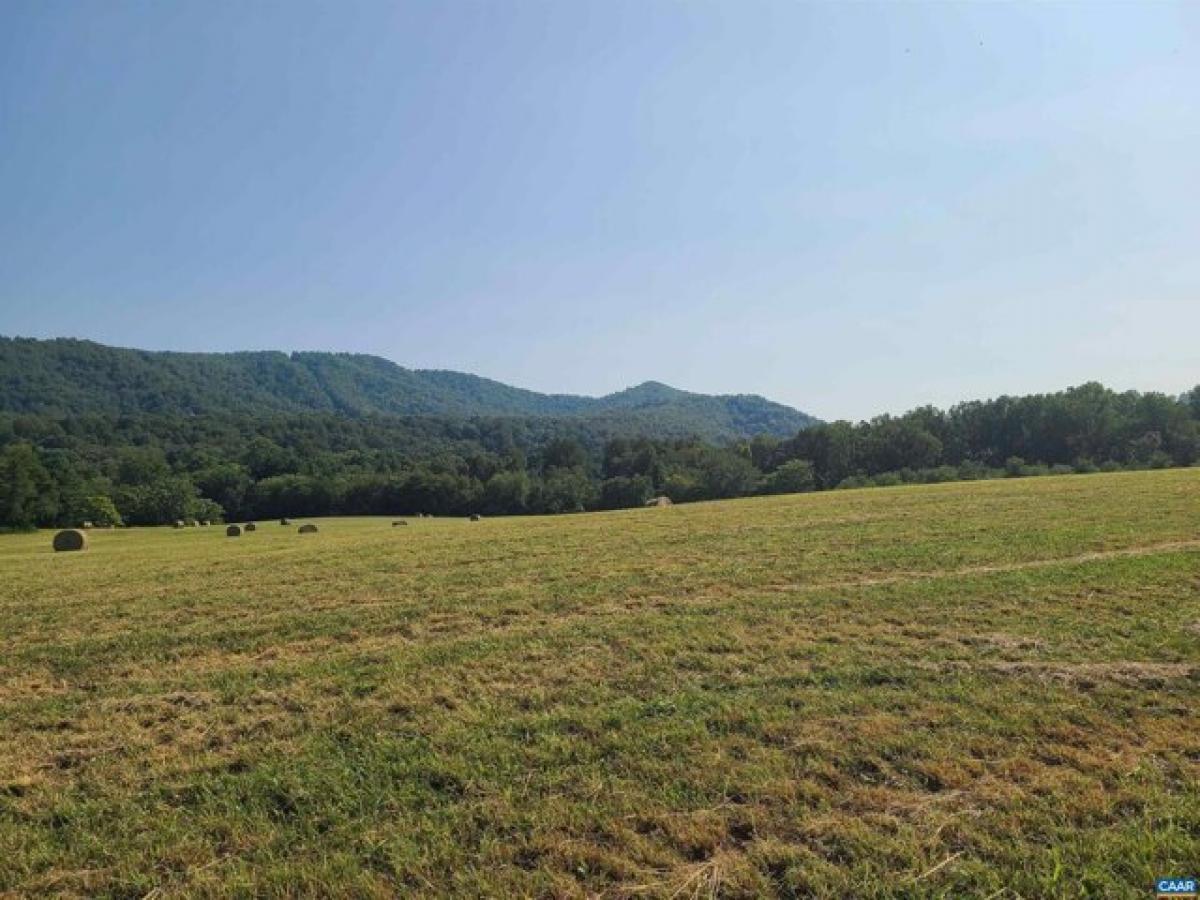  Land in Covesville, USA No. 474597