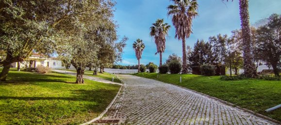 6 غرف نوم منزل في Pinhal Novo, Portugal رقم 101153 23