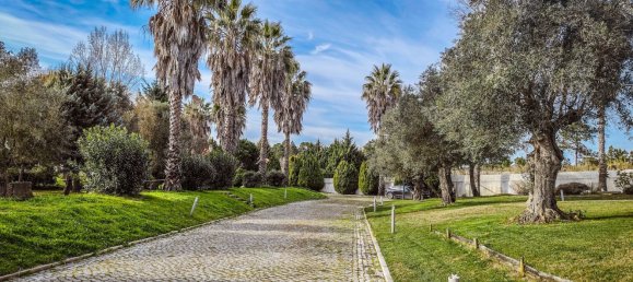 6 غرف نوم منزل في Pinhal Novo, Portugal رقم 101153 25