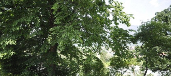 Apartamento de 3 habitaciónes en Kirchbichl, Austria No. 173135 26