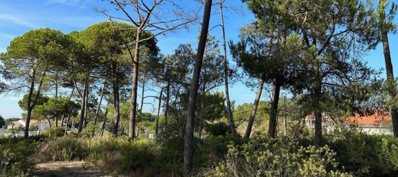 4 bedrooms Land in Sesimbra, Portugal No. 137909 3