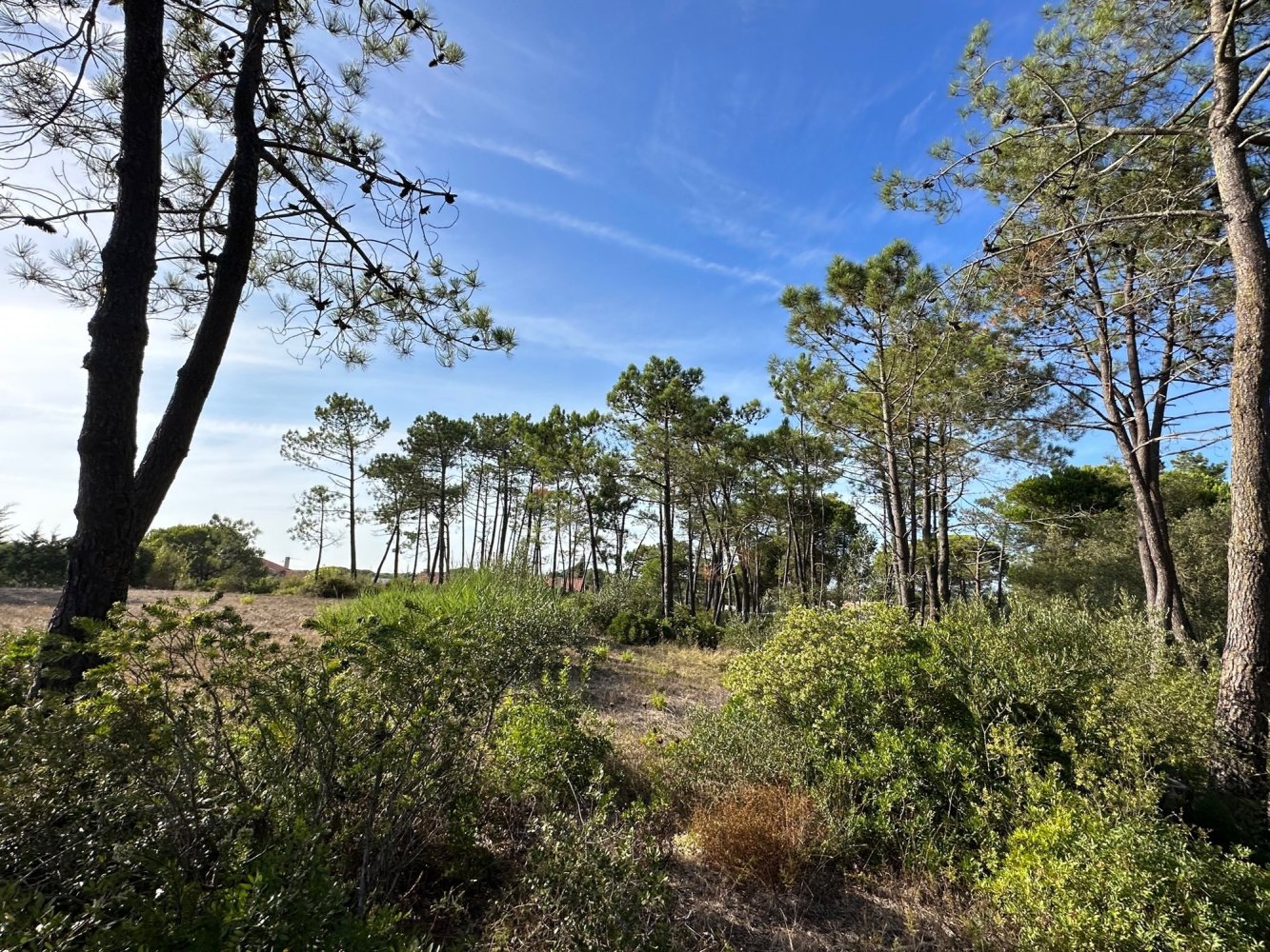 4 bedrooms Land in Sesimbra, Portugal No. 137909