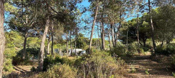 4 bedrooms Land in Sesimbra, Portugal No. 137909 4
