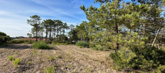 4 bedrooms Land in Sesimbra, Portugal No. 137909 10