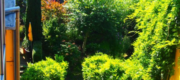 1 bedroom Penthouse in Bodenseekreis, Germany No. 36303 8