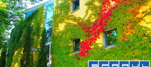 1 bedroom Penthouse in Bodenseekreis, Germany No. 36303 5