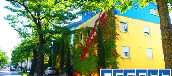 1 bedroom Penthouse in Bodenseekreis, Germany No. 36303 4