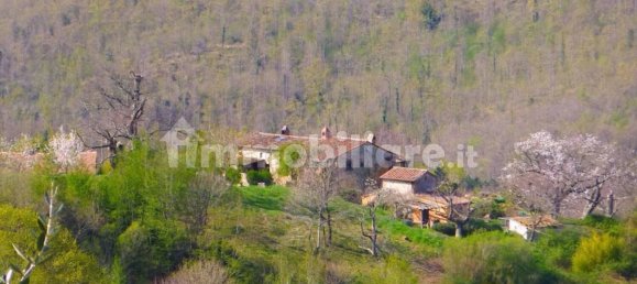 Casa T20 em Santa Fiora, Italy N.º 40686 4