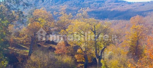 Casa T20 em Santa Fiora, Italy N.º 40686 42