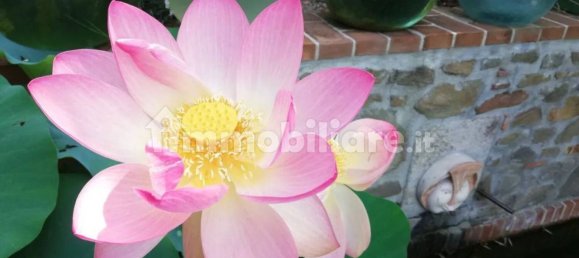 Casa T20 em Santa Fiora, Italy N.º 40686 16