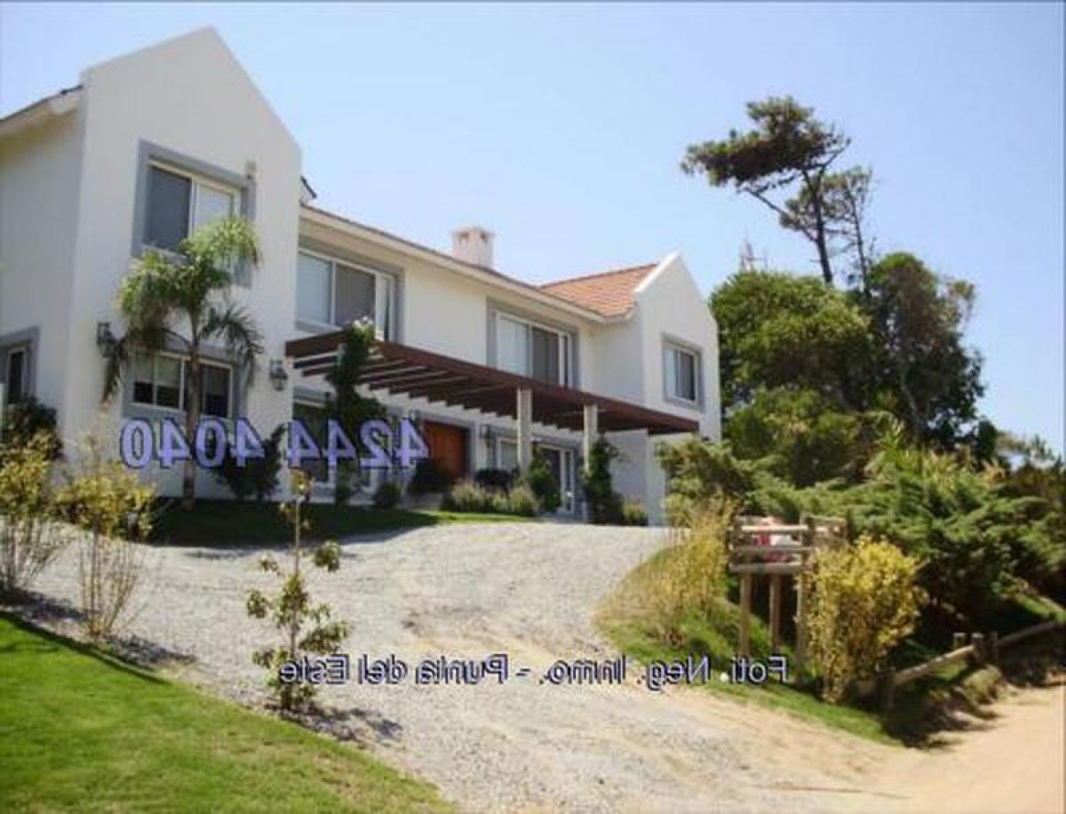 5 bedrooms House in Maldonado, Uruguay No. 7088