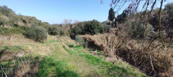 7-Zimmer Haus in Chianni, Italy, Nr. 164665 27