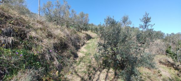 7-Zimmer Haus in Chianni, Italy, Nr. 164665 29