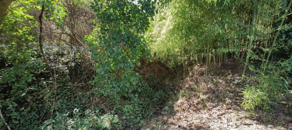 7-Zimmer Haus in Chianni, Italy, Nr. 164665 33