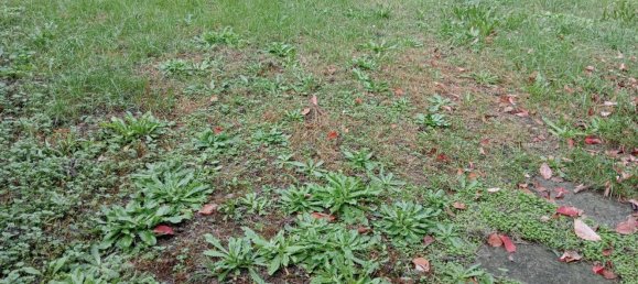 5 rooms House in Ponte di Piave, Italy No. 203912 26