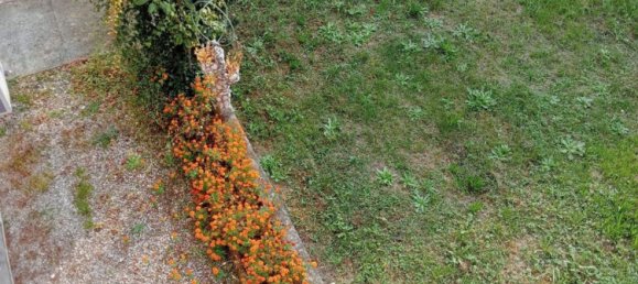 5 rooms House in Ponte di Piave, Italy No. 203912 4