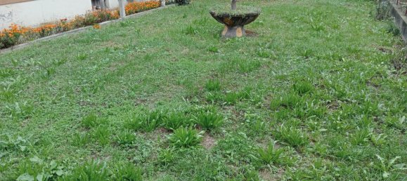 5 rooms House in Ponte di Piave, Italy No. 203912 23