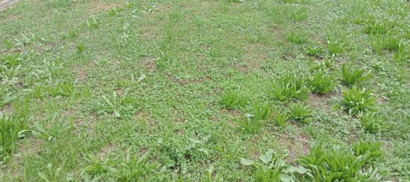 5 rooms House in Ponte di Piave, Italy No. 203912 21