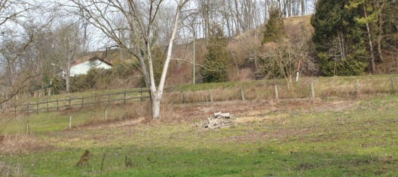 Grundstück in Wels, Austria 2234m², Nr. 86356 2