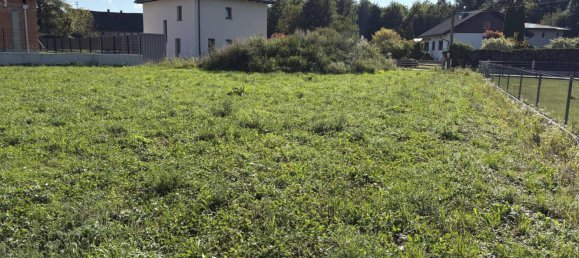 Terreno en Vorchdorf, Austria No. 83459 3