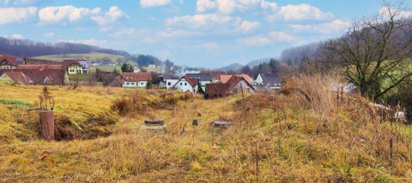 1174m² Land in Markt Hartmannsdorf, Austria No. 111022 5