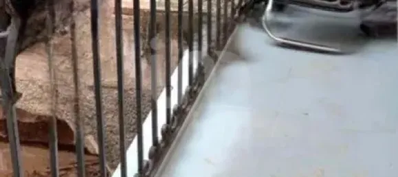 2 bedrooms Apartment in Barcelona, Spain No. 135609 2