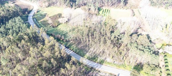 Grundstück in Ourenta, Portugal 3400m², Nr. 85078 12