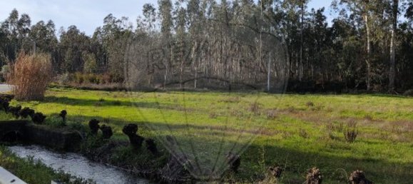 Grundstück in Ourenta, Portugal 3400m², Nr. 85078 4