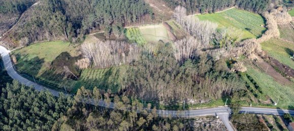 Grundstück in Ourenta, Portugal 3400m², Nr. 85078 6