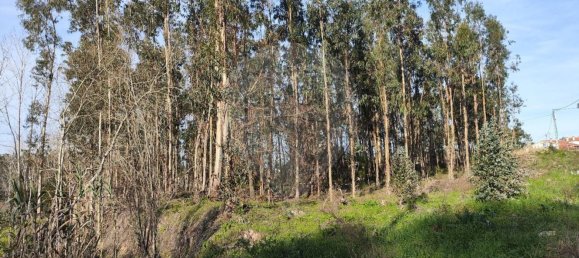 Grundstück in Ourenta, Portugal 3400m², Nr. 85078 3