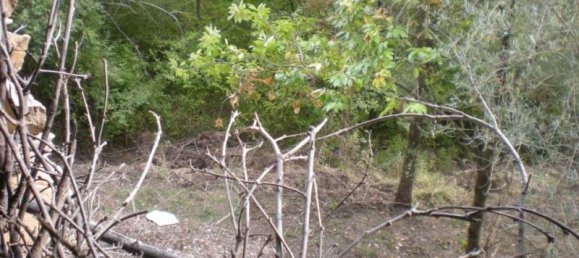 4 rooms House in Vessalico, Italy No. 232841 6