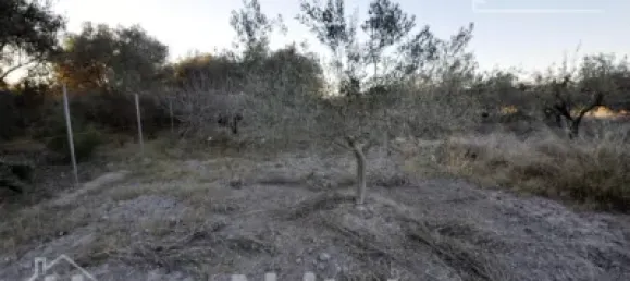 4 Schlafzimmer Haus in Almardà, Spain, Nr. 31130 29