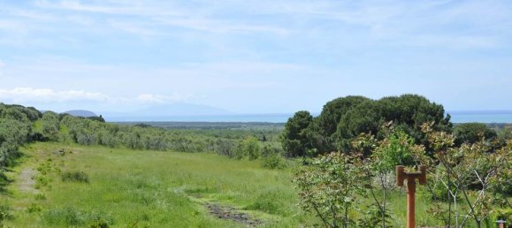 7 bedrooms Villa in Campiglia Marittima, Italy No. 80106 23