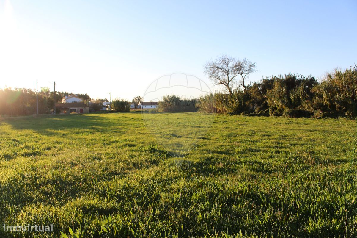 3000m² Land in Arazede, Portugal No. 90611