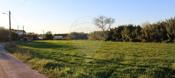 3000m² Land in Arazede, Portugal No. 90611 4