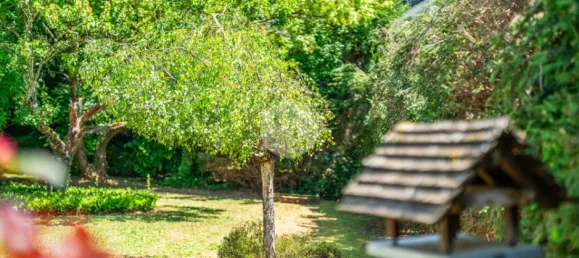 4 bedrooms House in Freiburg im Breisgau, Germany No. 350258 26