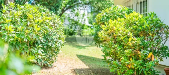 4 bedrooms House in Freiburg im Breisgau, Germany No. 350258 5