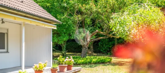 4 bedrooms House in Freiburg im Breisgau, Germany No. 350258 22