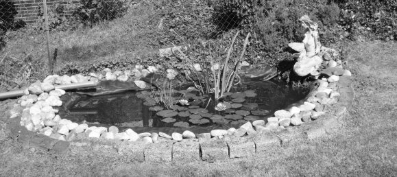 8-salle Maison de ville à Westerwaldkreis, Germany No. 350136 3