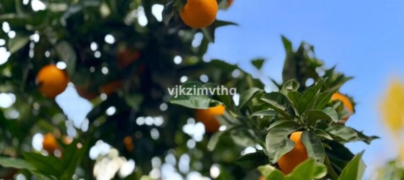 6 chambres Villa à Alameda, Spain No. 167476 26